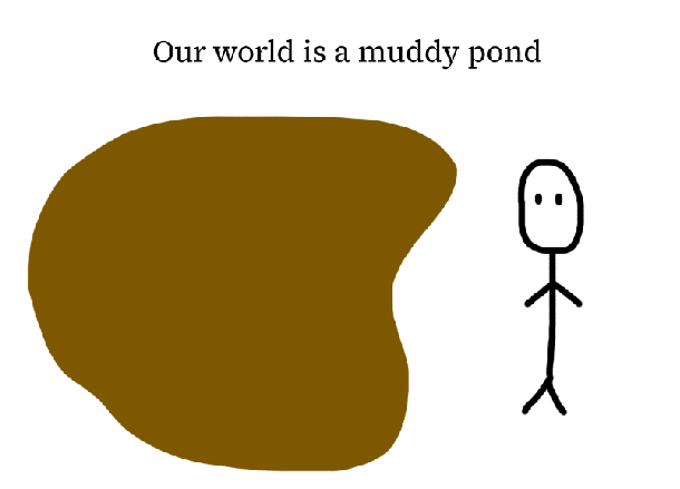 Muddy pond